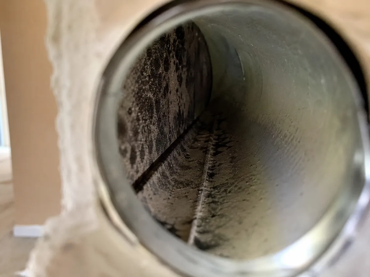 Air Duct Mold Removal in Lenexa, KS